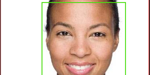 Interactive Face Detection with HAAR.js & openCV cascades