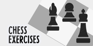Create and practice on a series of chess exercises in your browser (TODO)